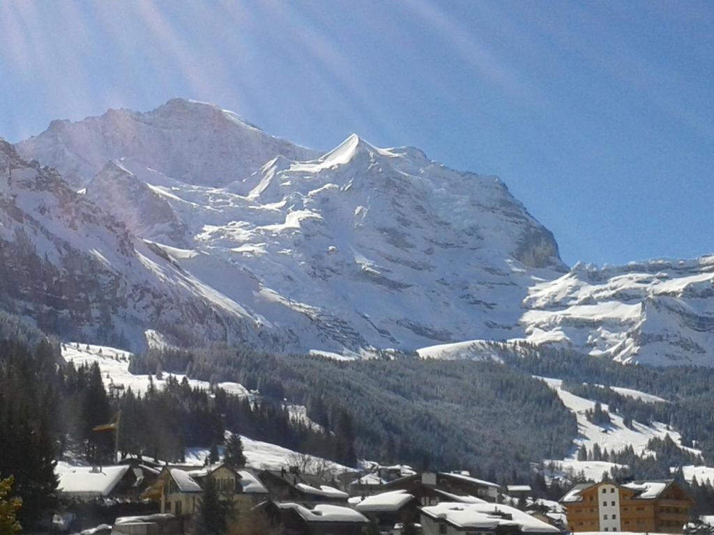 Hotel Berghaus Wengen Zewnętrze zdjęcie