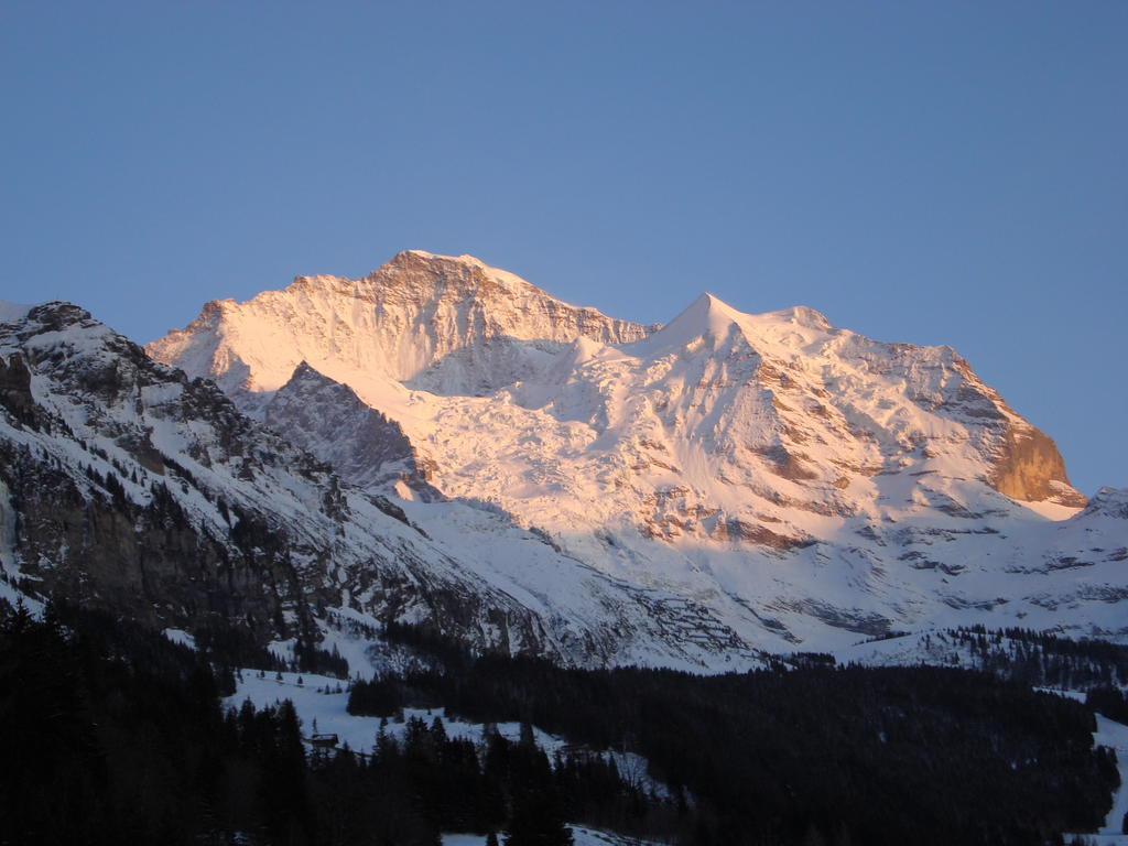 Hotel Berghaus Wengen Zewnętrze zdjęcie
